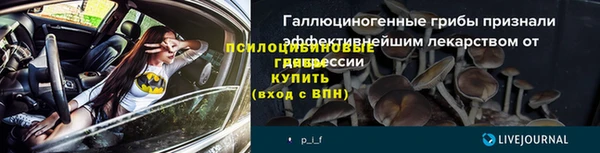 спайс Елабуга