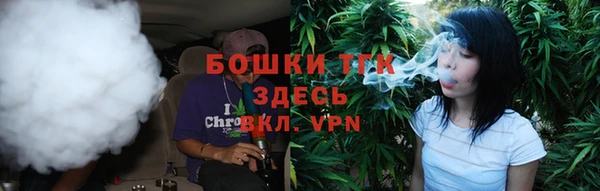 PSILOCYBIN Ельня
