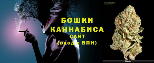 PSILOCYBIN Ельня