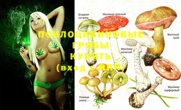 спайс Елабуга