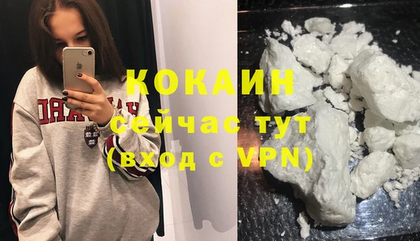PSILOCYBIN Ельня