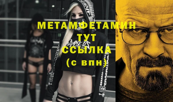 PSILOCYBIN Ельня