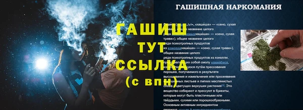 PSILOCYBIN Ельня